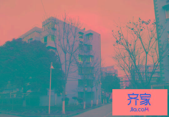 金藤苑外景圖 