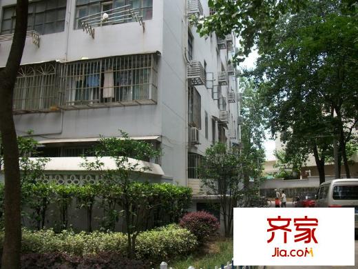 白玉大楼外景图