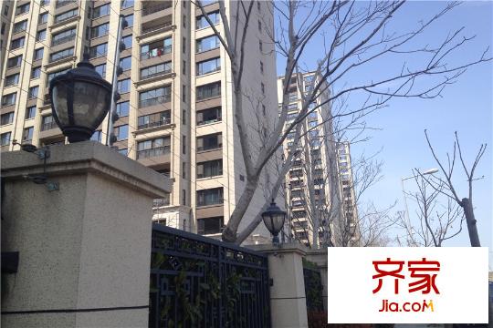 中海紫御豪庭实景图(2015-3-26)