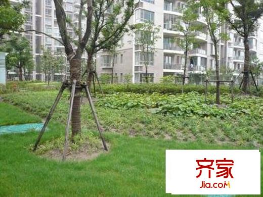 第九城市外景圖 