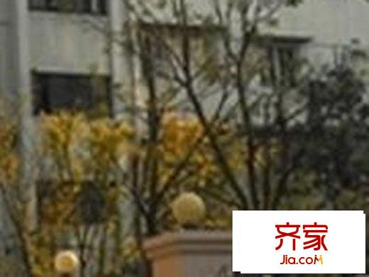 双辽新村小区外景图
