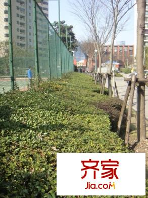 仕嘉名苑外景圖 