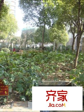 仕嘉名苑外景圖 