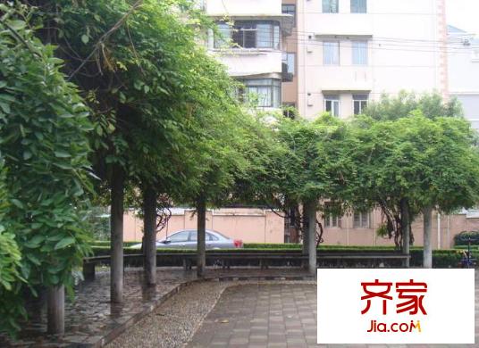齊八小區(qū)外景圖