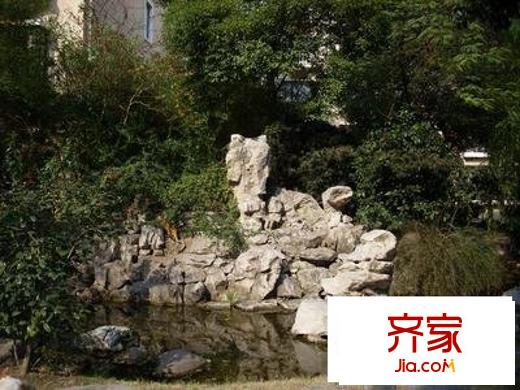 申立苑
