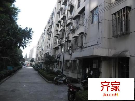 金橋路530弄小區(qū)外景圖金橋路530弄 