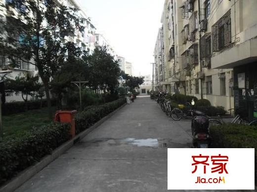 金橋路530弄小區(qū)外景圖金橋路530弄 