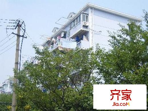 臨沂六村