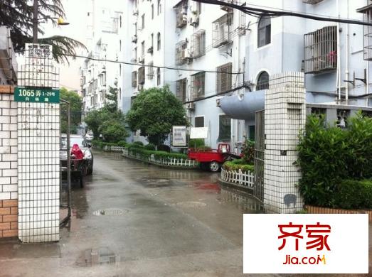 白楊小區(qū)外景圖 