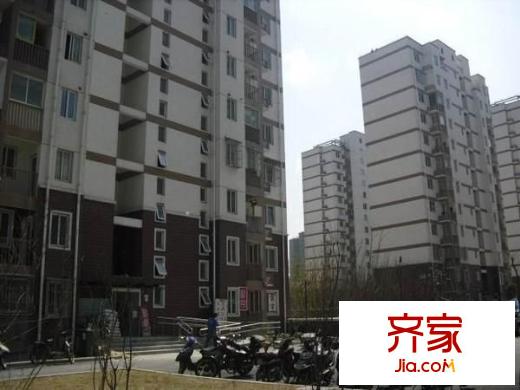 高行綠洲外景圖 