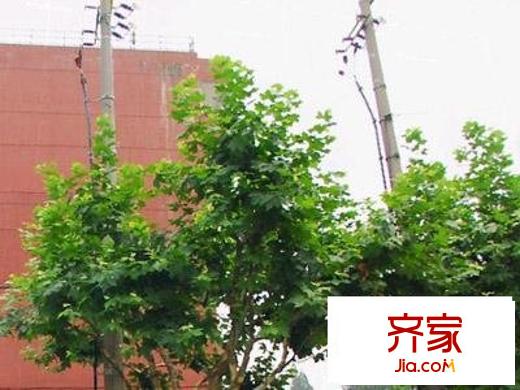 滬南小區(qū)外景圖 