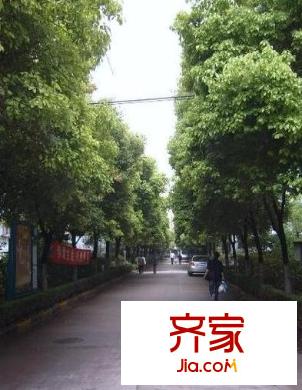 凌兆六村外景圖