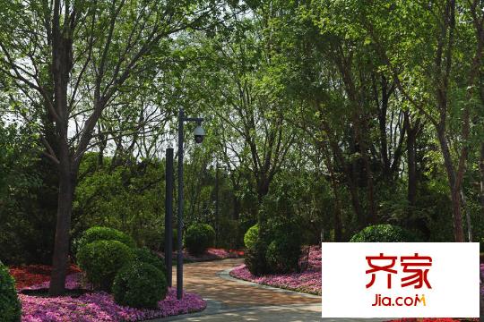 泰禾1号公馆园林2015.06