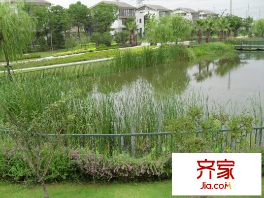 湯臣湖庭花園