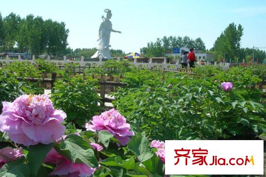 嘉禾天地周边配套-琉璃河天香牡丹园1