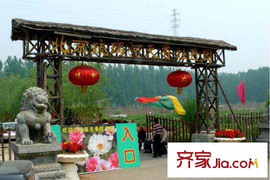 嘉禾天地周边配套-琉璃河天香牡丹园4
