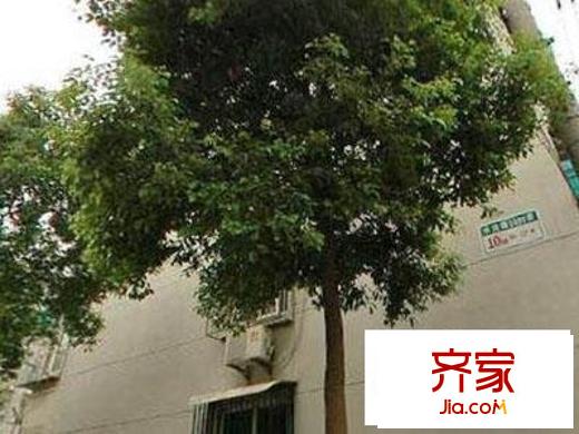 沁秋小区外景图上海