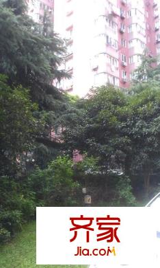 桃林公寓外景圖 