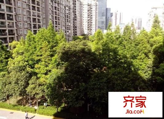 浦江茗園外景圖 