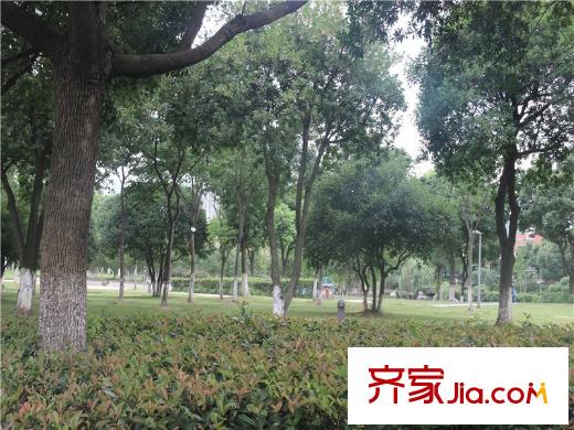 前程藏瓏西南向1.2公里的科技公園