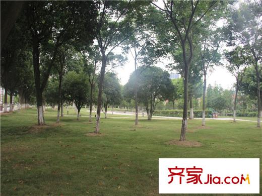 前程藏瓏西南向1.2公里的科技公園