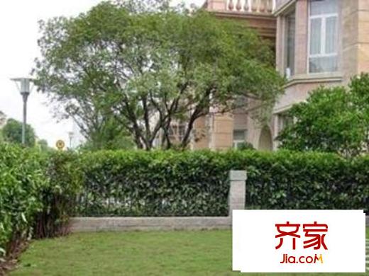 湯臣高爾夫公寓外景圖