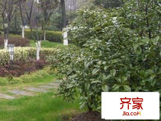 惠盛公寓外景圖