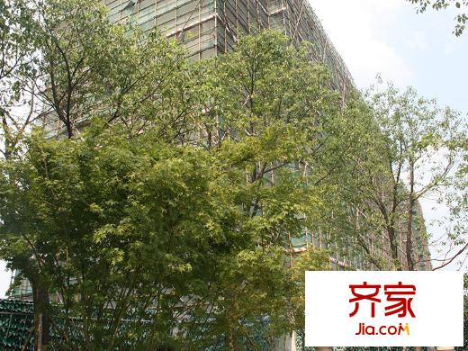 建发珑庭外景图(2013-07)