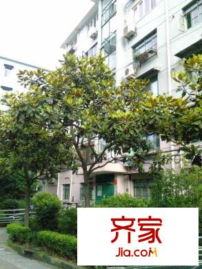 金順小區(qū)外景圖 