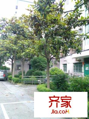 金順小區(qū)外景圖 
