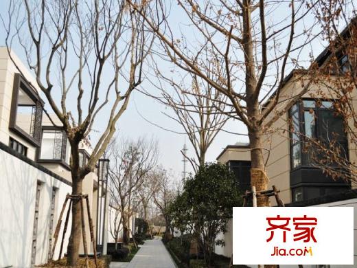 春江美庐实景图(2013.2)