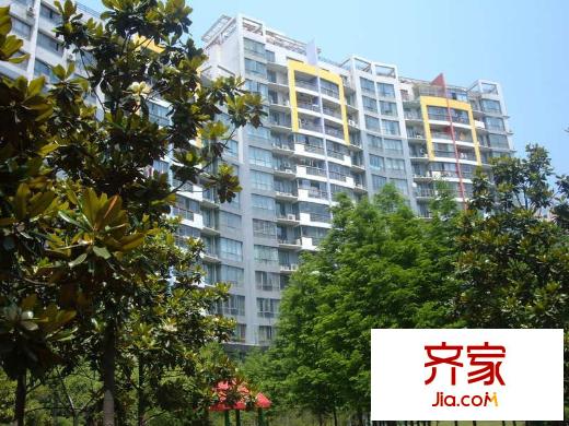 春之聲中星公寓外景圖 
