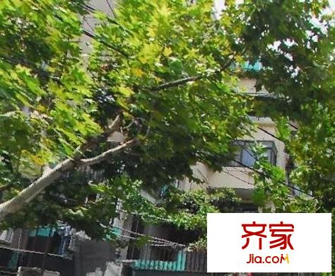芙二小区外景图上海