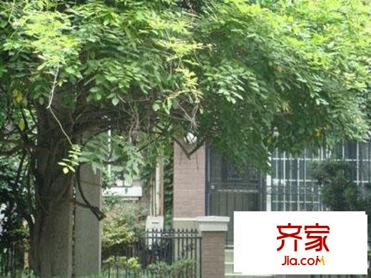 香山苑外景图罗马假日