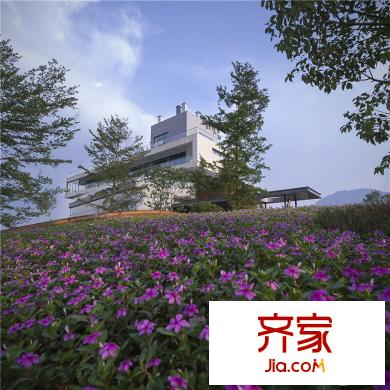 金岸?江嶼湖項(xiàng)目景觀（2015-11-12）