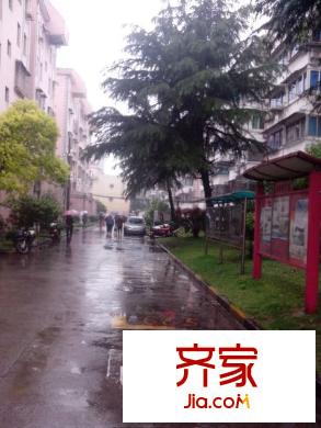 蓮業(yè)新村外景圖 