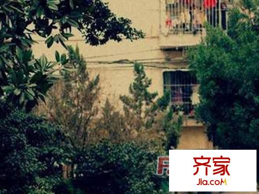 樂園小區(qū)外景圖 