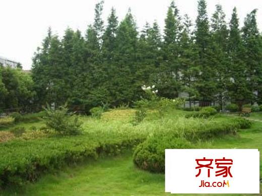 仙霞大郡外景图