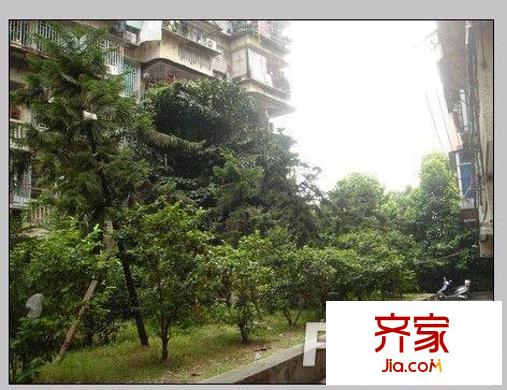 華苑公寓外景圖 