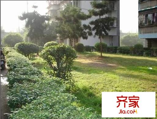 浮村新村外景圖 