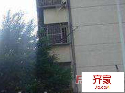 福馬路茶廠宿舍外景圖 
