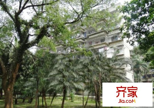 第四醫(yī)院單位宿舍外景圖 