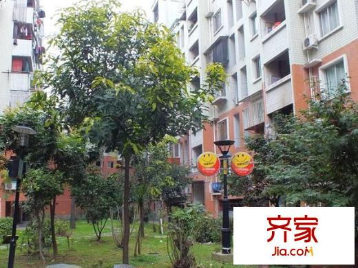 蒼霞新城嘉華苑外景圖 