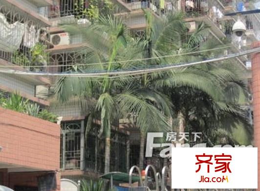 洋安公寓外景圖 
