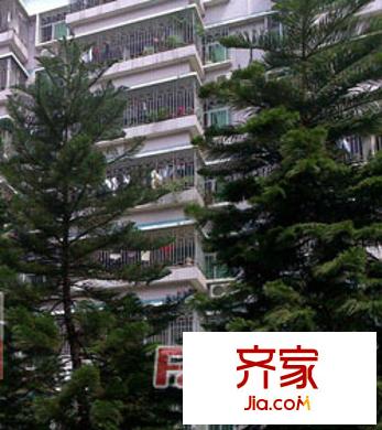 天城小區(qū)外景圖 