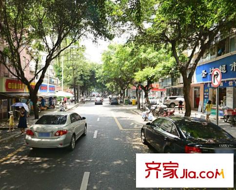 樹湯路皮具宿舍配套圖周邊配套 街道