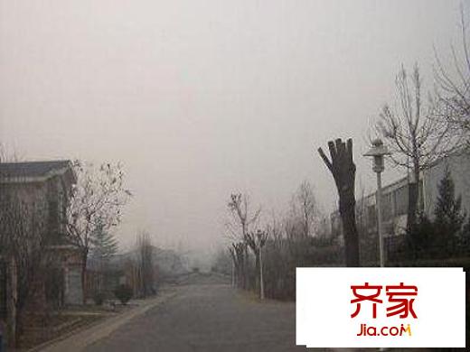 运通花园外景图街道