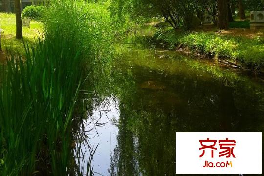 易郡园林2014.11
