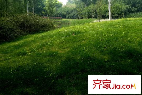 易郡周边配套-公园