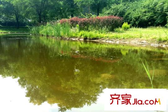 易郡周边配套-公园